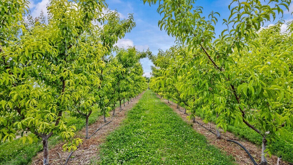 More Photos Of 20809 Nowhere Rd, Eckert Land For Sale