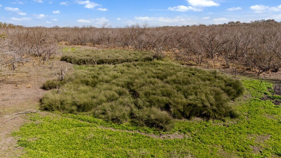 Primary Photo Of TBD County Road 4516, Hondo Land For Sale