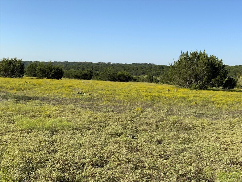 More Photos Of TBD County Road 386, Carlton Land For Sale