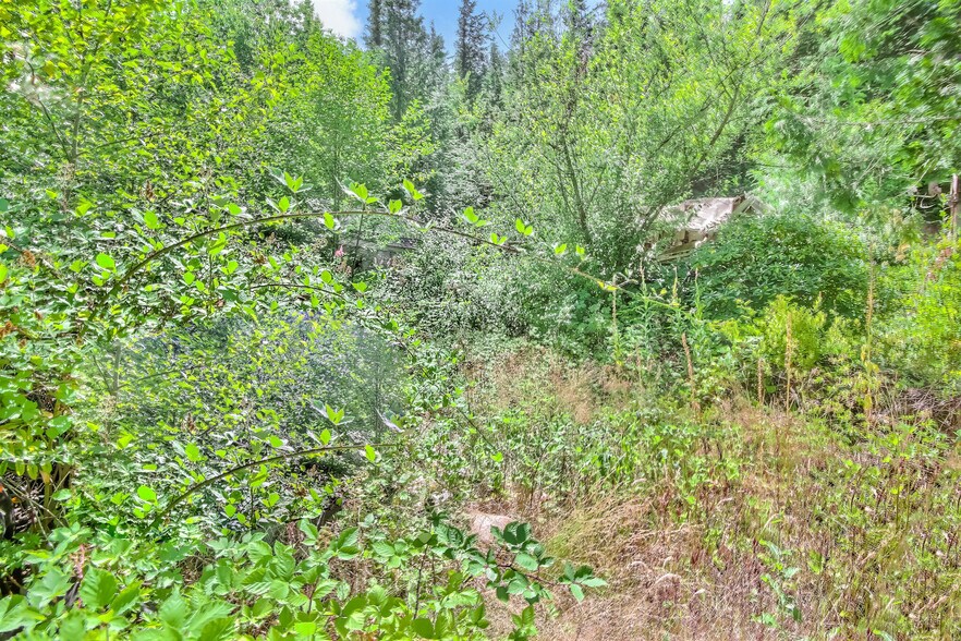 More Photos Of 32750 343rd Ave SE, Ravensdale Land For Sale