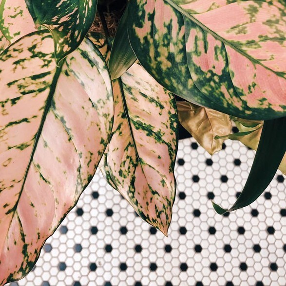 More Photos Of 1900 S Harbor City Blvd, Melbourne Office For Lease