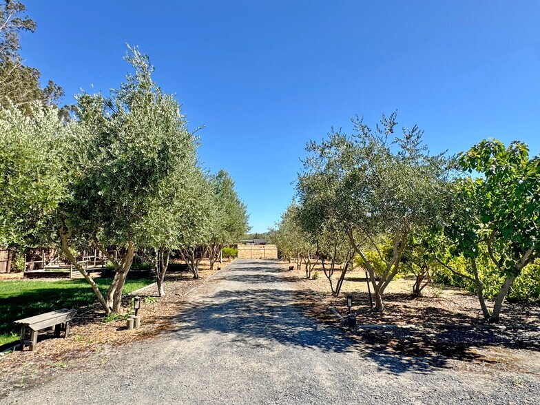 More Photos Of , Sonoma General Retail For Sale