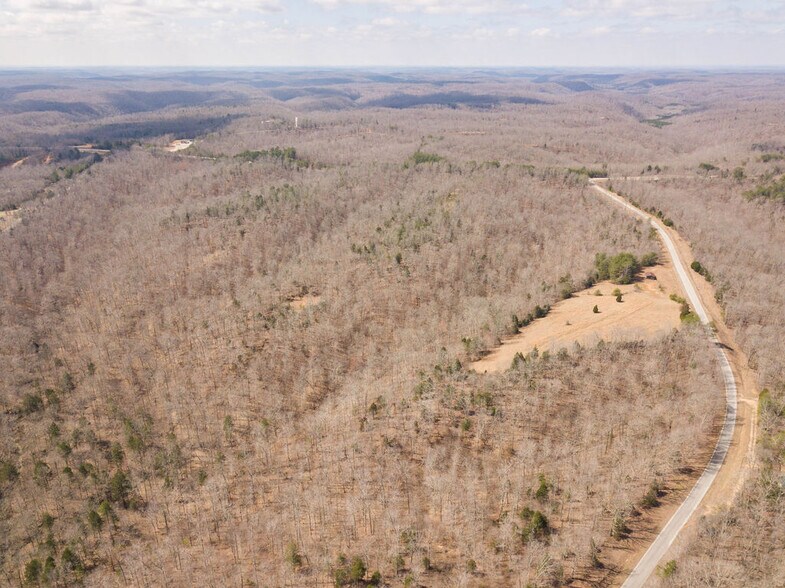 More Photos Of 0 Hwy 13, Linden Land For Sale