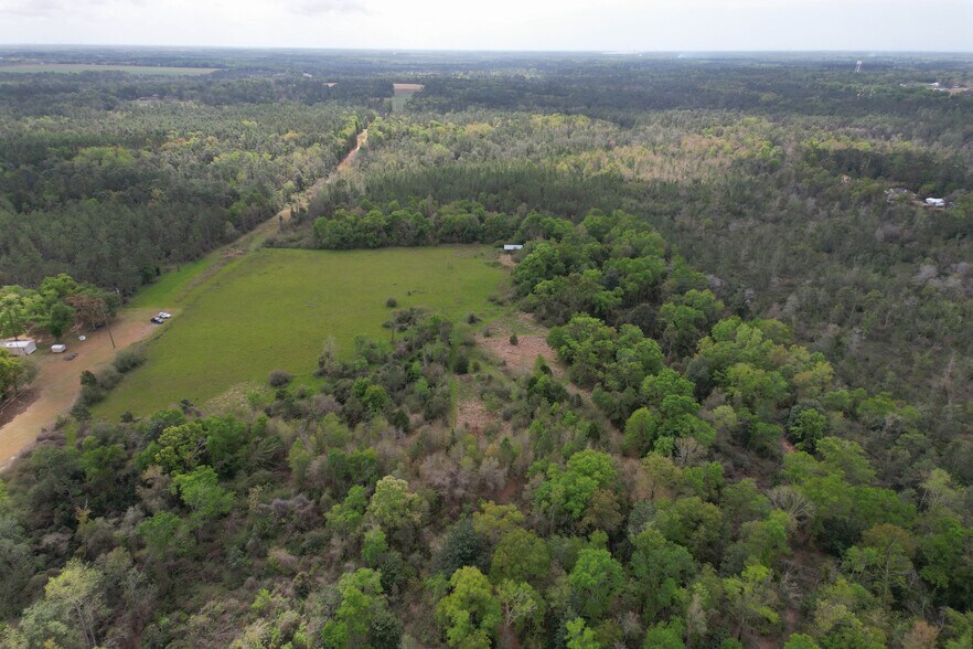 More Photos Of 12960 County Road 48, Silverhill Land For Sale
