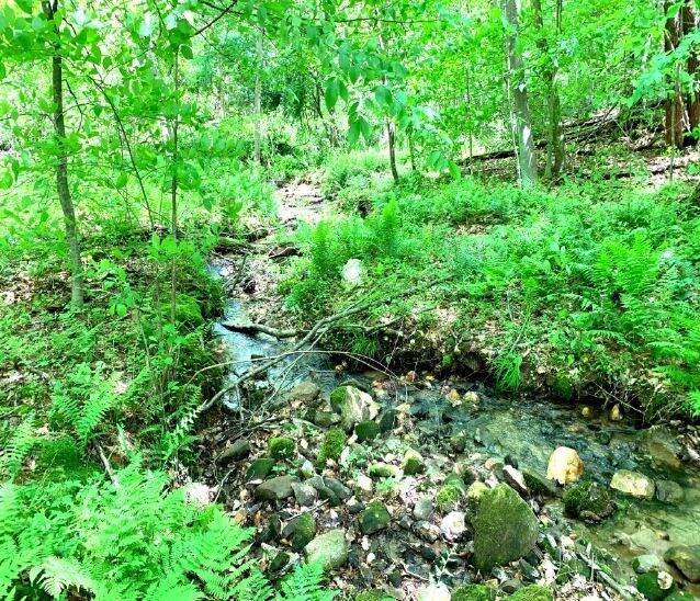 More Photos Of 5309 S Seminole Trl, Madison Storefront For Sale