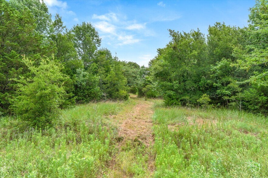 More Photos Of 1745 FM 2737, Lone Oak Land For Sale