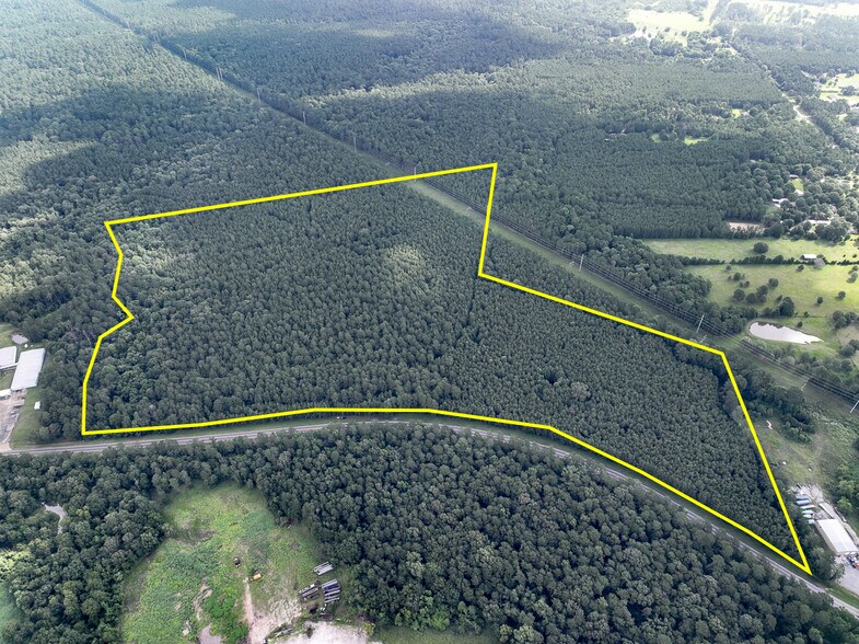 Primary Photo Of 00 FM 2793, New Waverly Land For Sale