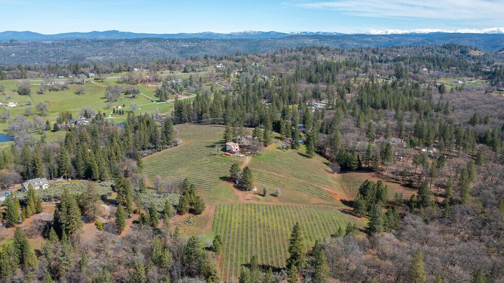 More Photos Of 4771 Greenhills Rd, Placerville Winery Vineyard For Sale