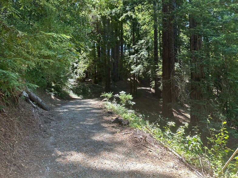 More Photos Of 0000 Main Boulevard Los Gatos 95033, Los Gatos Land For Sale