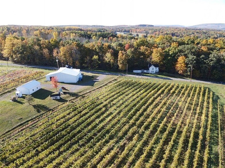 More Photos Of 14630 State Route 54, Hammondsport Winery Vineyard For Sale