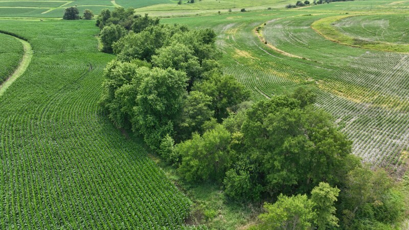 More Photos Of Tract 4 IA-92 hwy, Ainsworth Land For Sale