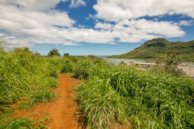 More Photos Of 2500 Niumalu Rd, Lihue Land For Sale
