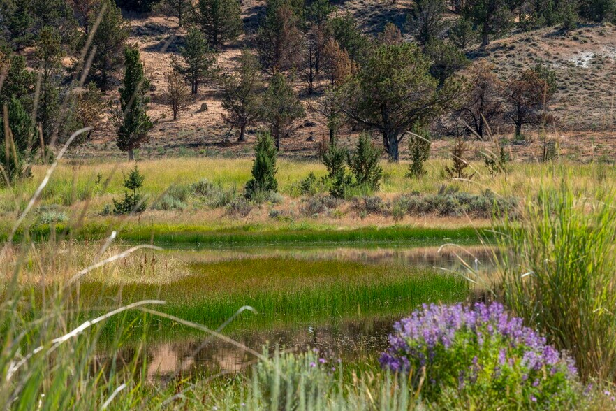 More Photos Of 32611 Tackman Rd, Prineville Land For Sale