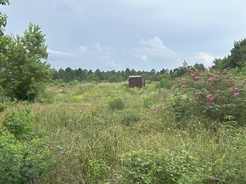 More Photos Of 29913 Waller Spring Creek Rd, Waller Land For Sale