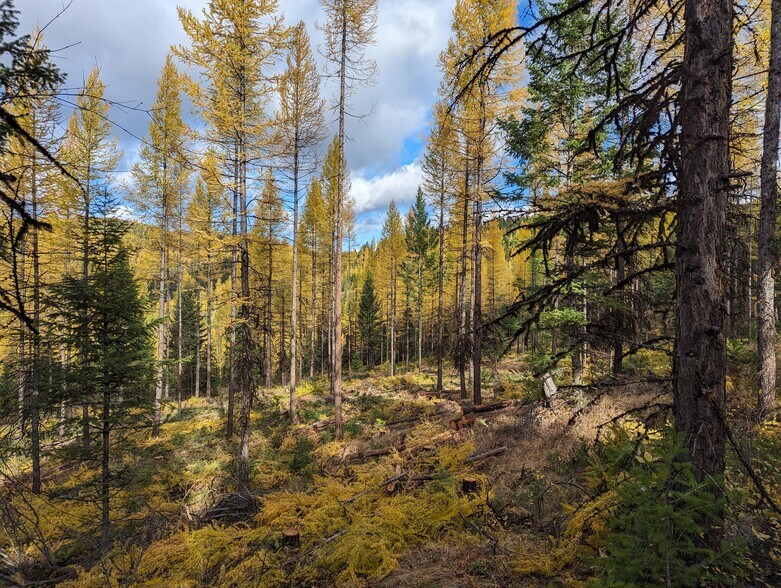 More Photos Of Legacy Timber & Recreaction Tract Near Lone Lake, Kalispell Land For Sale