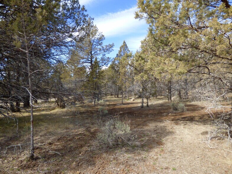 More Photos Of 740 N Butte St, Dorris Land For Sale