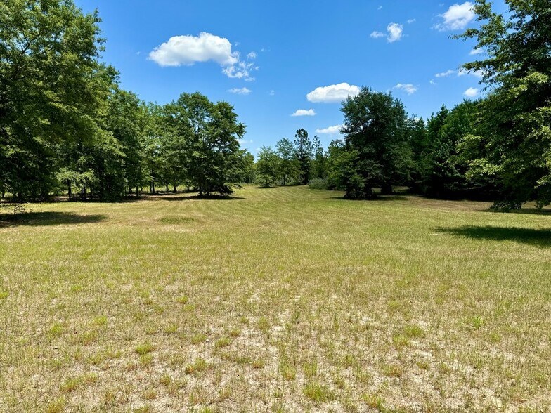 More Photos Of 241 Foskey Cemetery Rd, Adrian Land For Sale