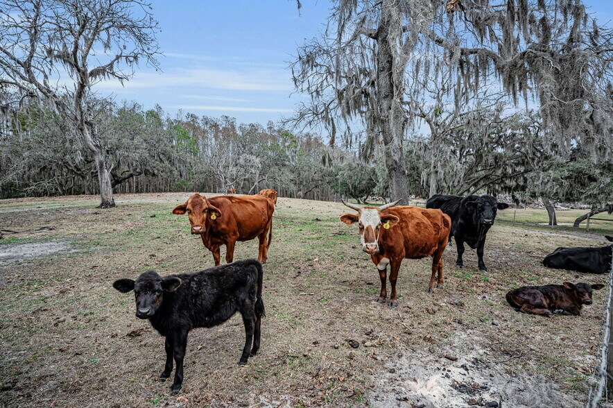 More Photos Of 7230 Old Homestead Rd, New Port Richey Land For Sale