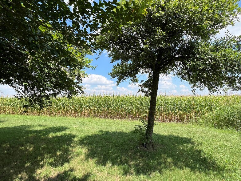 More Photos Of 1284 County Road 216, Jarrell Land For Sale