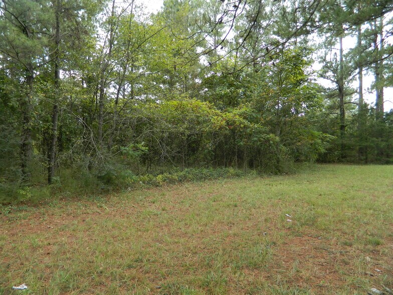 More Photos Of Highway 72, Tuscumbia Land For Sale