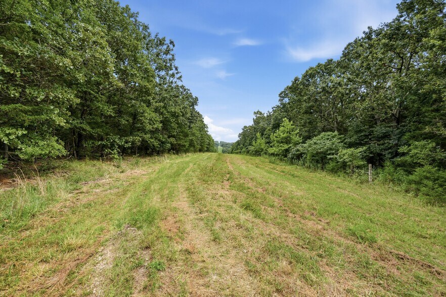 More Photos Of 11373 Colcleasure Rd, Fayetteville Land For Sale