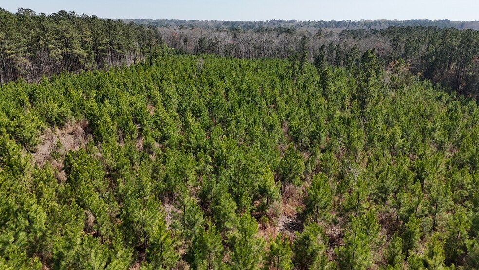 More Photos Of 132 Wessinger Ln, Columbia Land For Sale