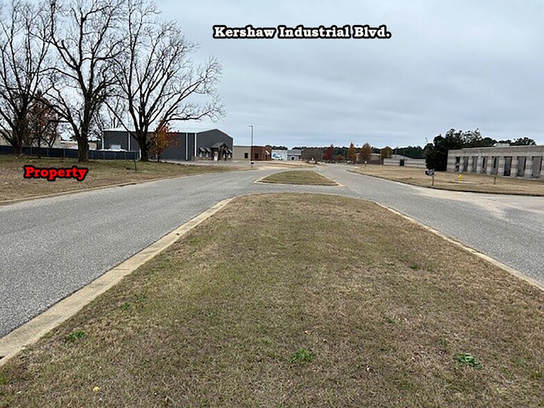 More Photos Of 163 Kershaw Industrial Blvd, Montgomery Land For Sale