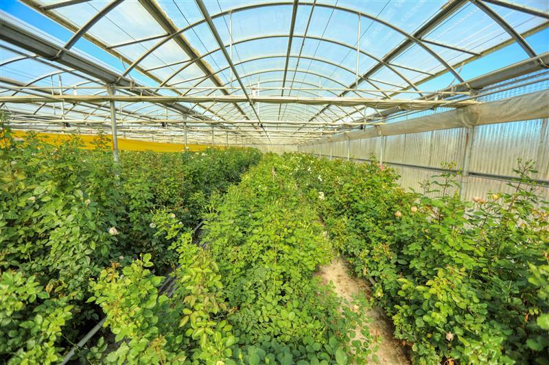 More Photos Of 885 Mesa Rd, Nipomo Industrial For Sale