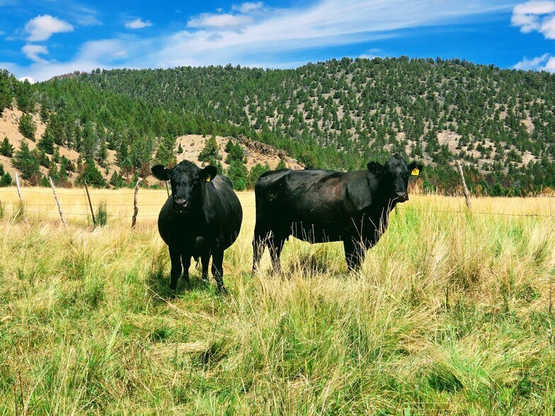 More Photos Of 32611 Tackman Rd, Prineville Land For Sale