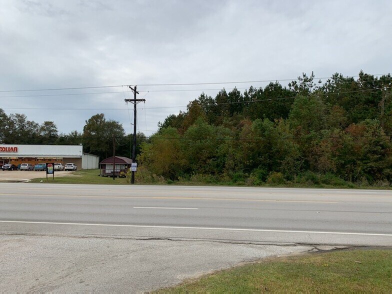 More Photos Of 1005 Margaret Ave, Kirbyville Land For Sale