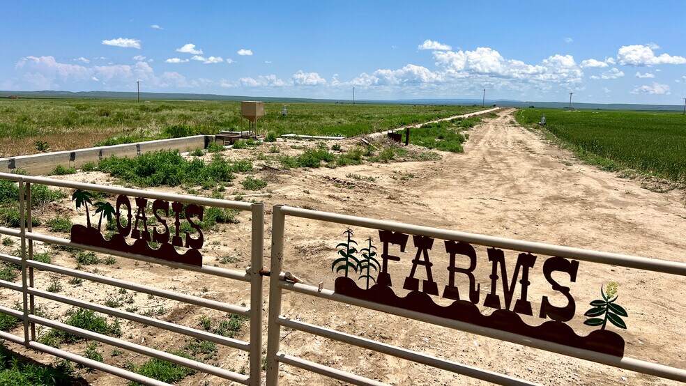 More Photos Of 48999 County Road 48, Model Land For Sale