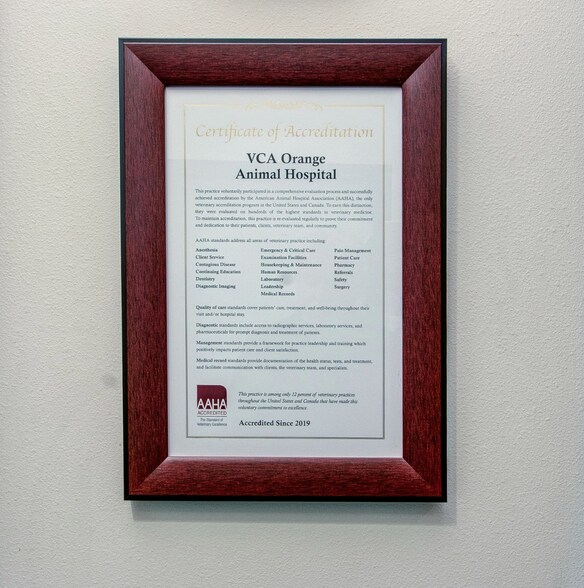 More Photos Of 1100 W Chapman Ave, Orange Veterinarian Kennel For Sale