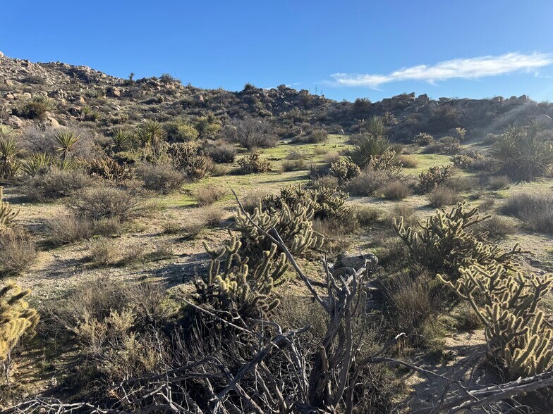 More Photos Of In-Ko-Pah Park Rd, Jacumba Land For Sale