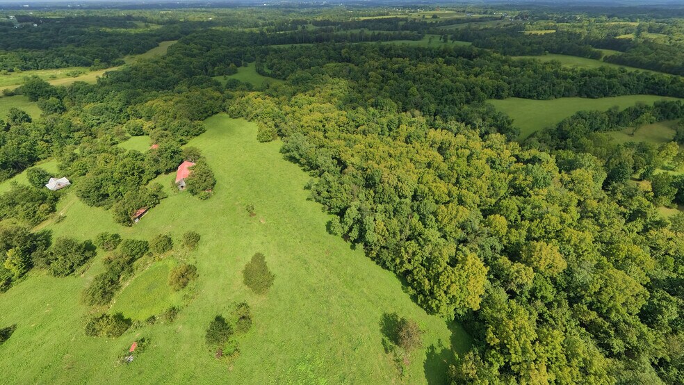 More Photos Of 7438 Bagdad Rd, Bagdad Land For Sale