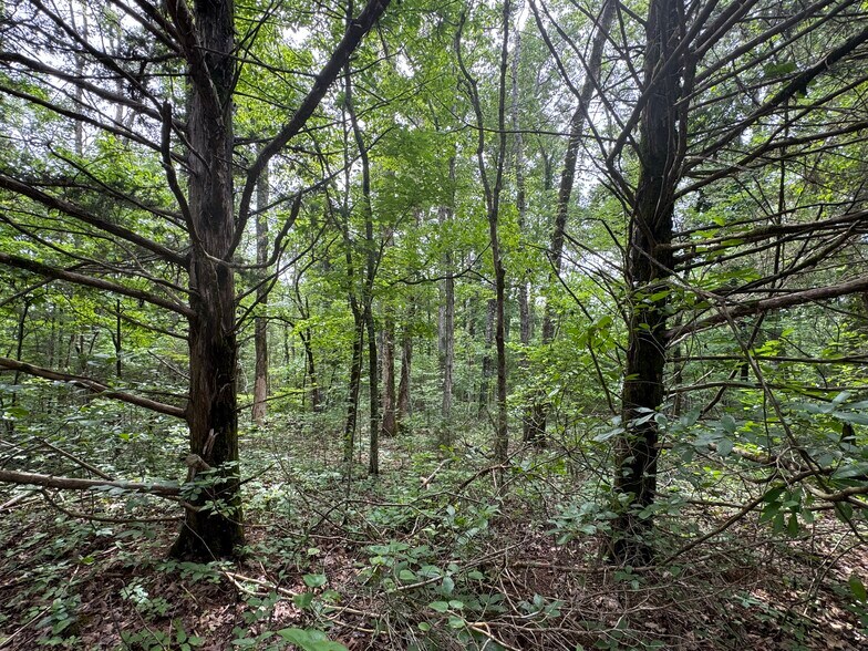 More Photos Of 3309 NC 421, Marble Falls Land For Sale