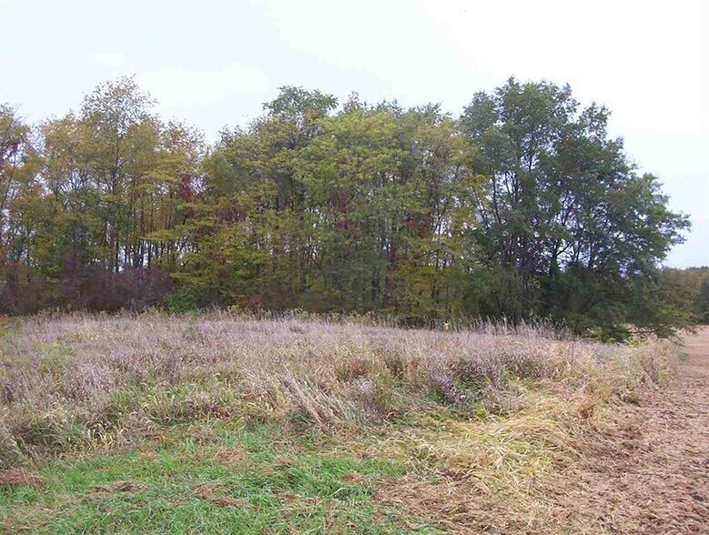 More Photos Of 210th Street Northeast, Solon Land For Sale