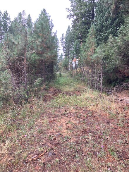 More Photos Of 314 N 3rd St, Mccall Land For Sale