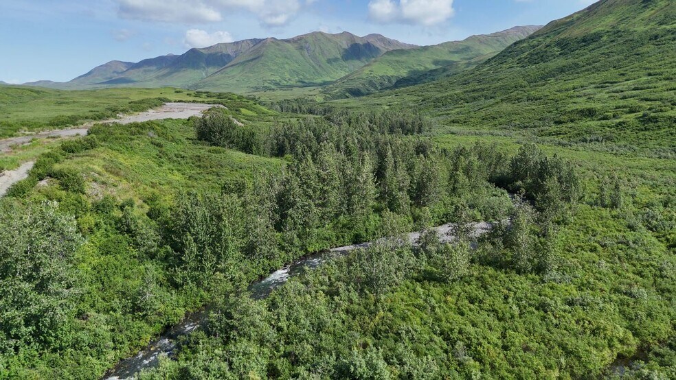More Photos Of 000 Dutch Creek Gold Mine, Trapper Creek Land For Sale