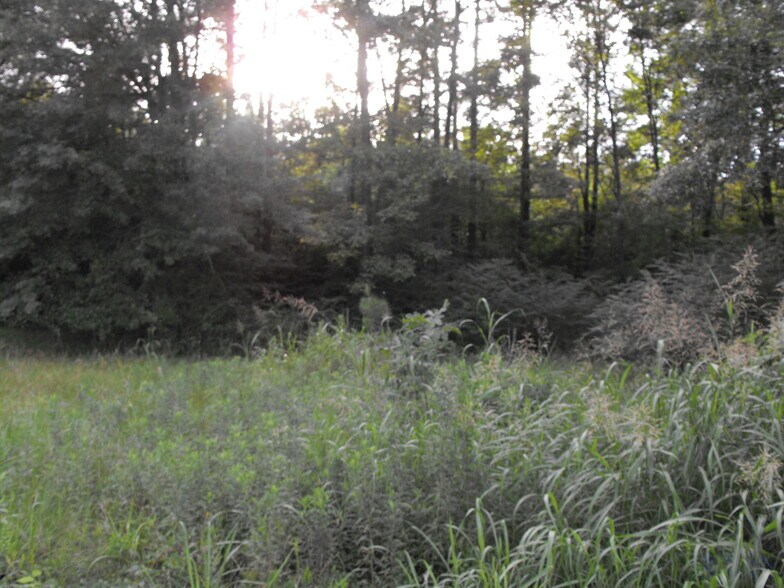 More Photos Of 106 I55 SOUTH W FRONTAGE RD S, Terry Land For Sale