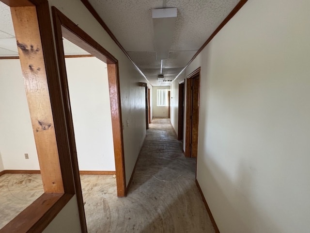 More Photos Of 5340 Gulf Dr, New Port Richey Office For Lease