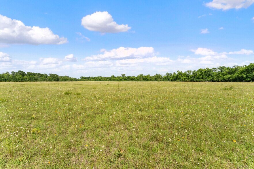 More Photos Of 10840 FM 442, Boling Land For Sale
