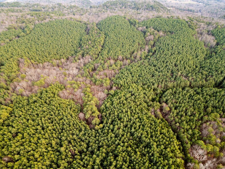 More Photos Of 762 Smith Mountain Rd, Dunlap Land For Sale