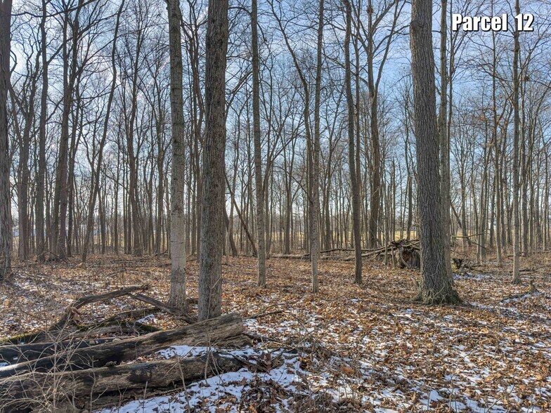 More Photos Of 11007 Watkins Road, Marysville Land For Sale