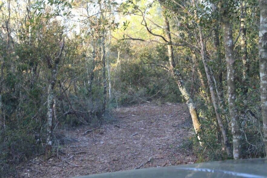 More Photos Of Doyle Road, Deltona Land For Sale