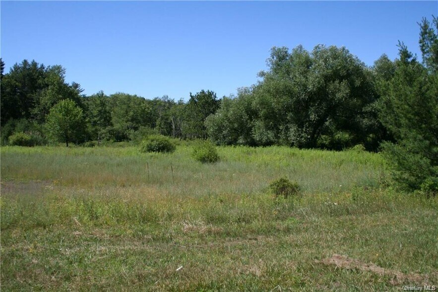 More Photos Of 14.6 Acres 17B rt, Monticello Land For Sale