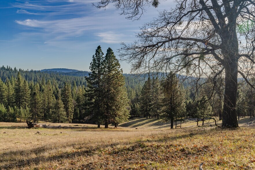 More Photos Of 7401 Schaad Rd, Wilseyville Land For Sale