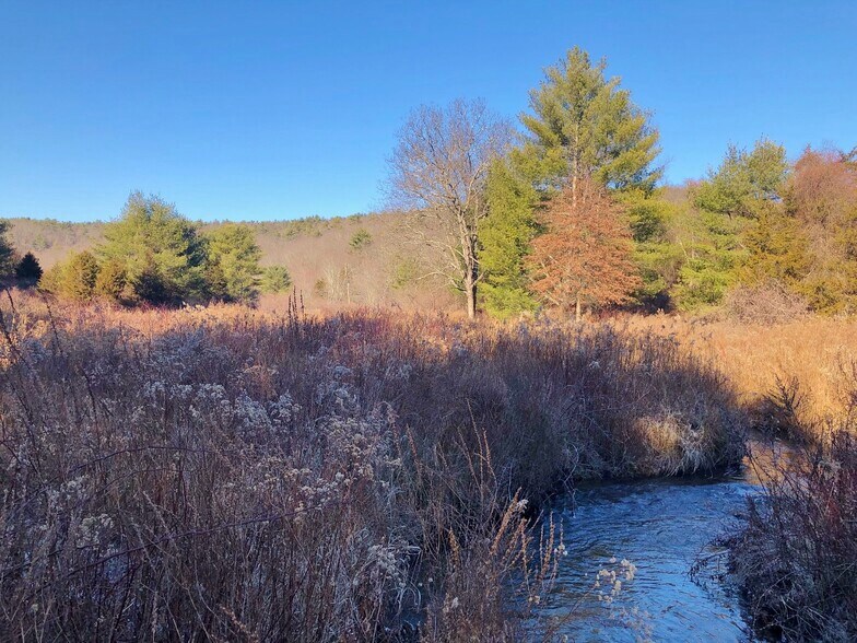 More Photos Of 308 NY-28, Kingston Land For Sale