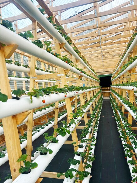 More Photos Of 3510 Walk in Water Rd, Lake Wales Winery Vineyard For Sale