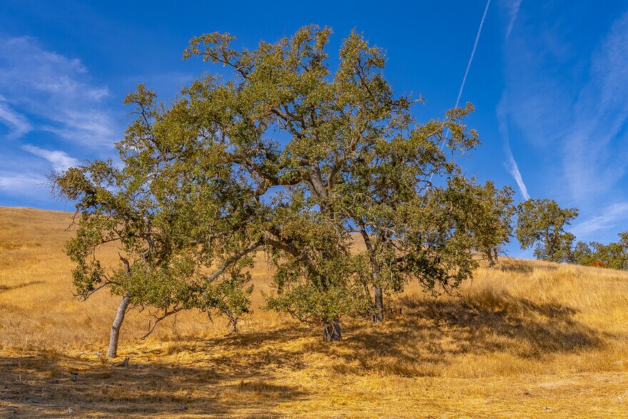 More Photos Of 0 E. 41 Hwy, Templeton Land For Sale