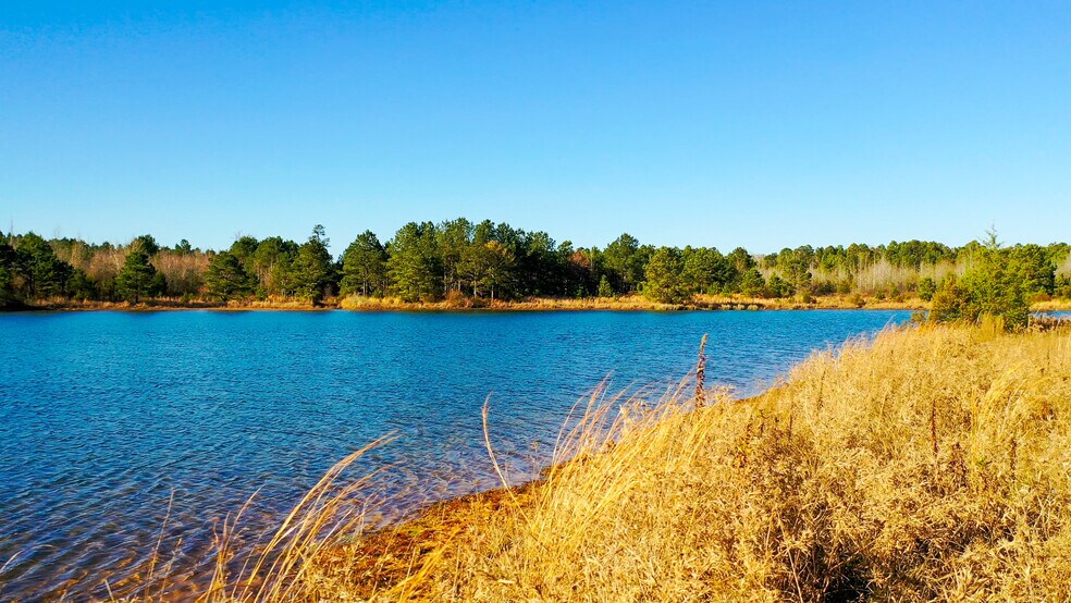 More Photos Of HWY 49 hwy, Jefferson Land For Sale